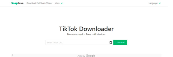 Snapsave TikTok Downloader