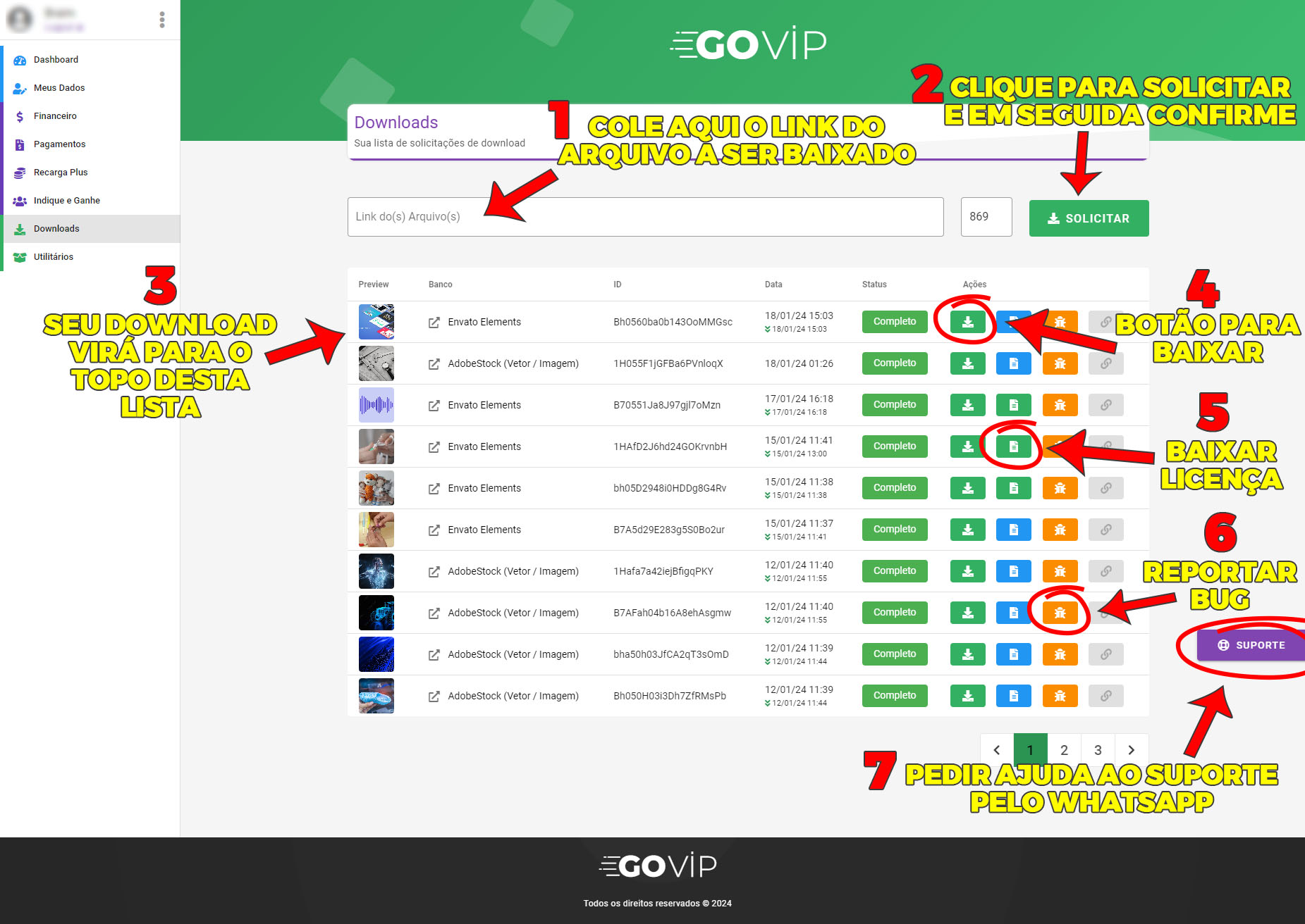 Página de downloads do site GoVIP